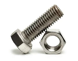 Stainless Steel 304_304H_304L Hex Bolt
